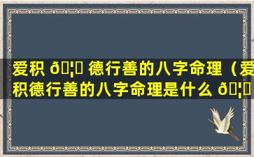 爱积 🦋 德行善的八字命理（爱积德行善的八字命理是什么 🦈 ）